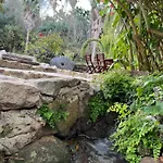 Molino Angorrilla Cádiz