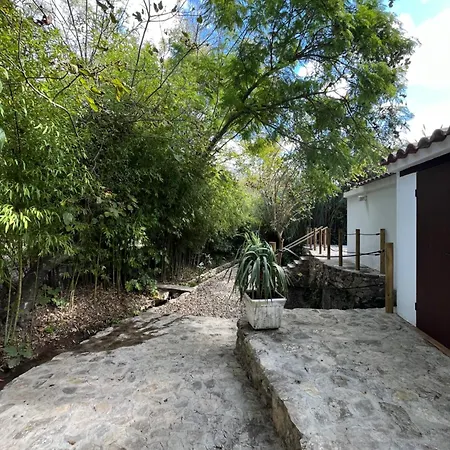 Molino Angorrilla * Cadiz